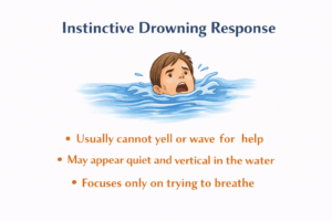 Instinctive drowning response explained