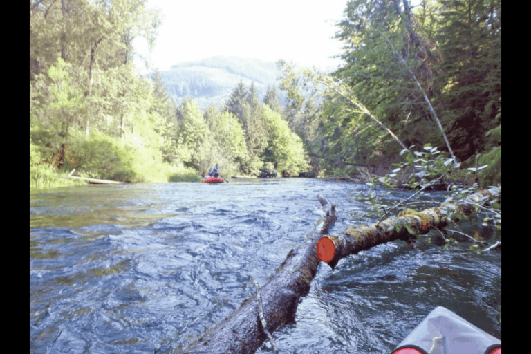 Fast-flowing section of the Cowichan River showing submerged logs and strong currents during summer tubing season.