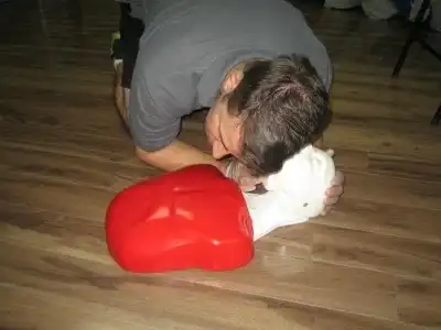CPR Only Courses